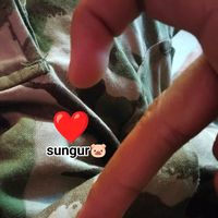 sungur022