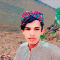 hameed.jan.s.1333