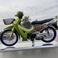 fasana1995
