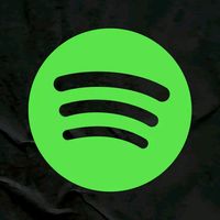 original sound - Spotify ft music
