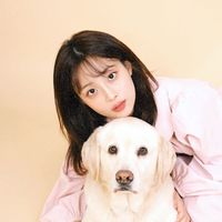 오리지널 사운드 - 수져미