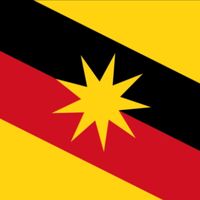 sarawak_hornbill
