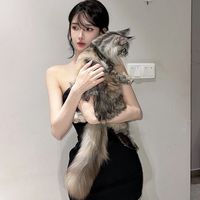 nhạc nền - ariiiitry