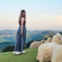 cchomp_15