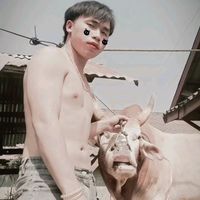 เสียงต้นฉบับ - Tshaj meej hawj
