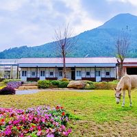 nhạc nền - cuocsongfarm