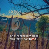 benitez42503587679001