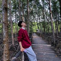nhạc nền - hải luân🐭
