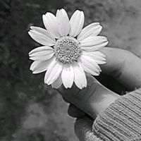 asi_kadinn36
