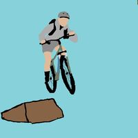 cobz.mtb