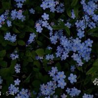 オリジナル楽曲 - un