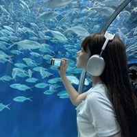 เสียงต้นฉบับ - เงอะงะ!