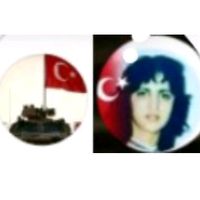 2001alya