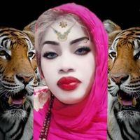 nafifaloucherif706395842