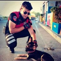 orijinal ses