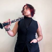 vilo_clarinet