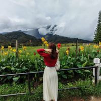 original sound - serlly.J͟͟͟͞͞͞   🕊️