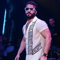 الصوت الأصلي