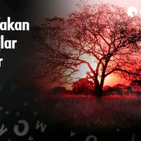can__yakar1