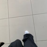 g_29.0