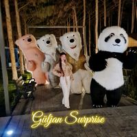 guljan_surpriz.tm