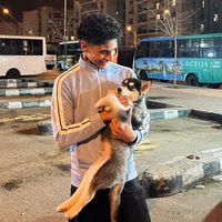 amenmohamed68