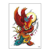 anchoi666