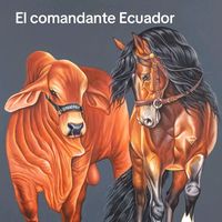 alejandro.gmez74
