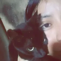 original sound - sha.xxn