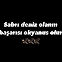 orijinal ses