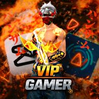 vipgamer