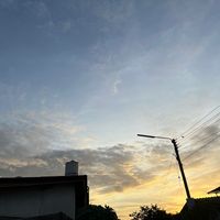 เป็นหมา