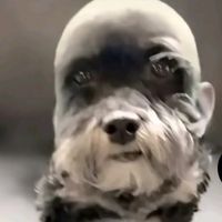 edgar.yael0