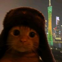 un_l0c0_p0r_l0s_aut05