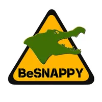 original sound - besnappy