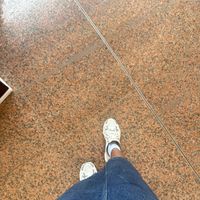 ama_cella