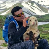 الصوت الأصلي