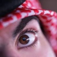 qii__52