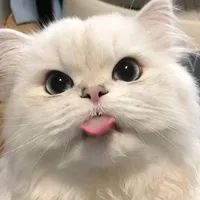 original sound - djfisidnjjfiabfsi