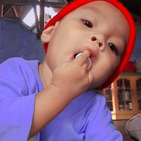 suara asli