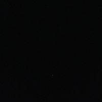 rosales_494