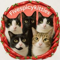 fivespicykitties