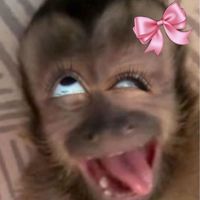 ur.pzrmzi