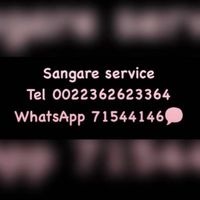 sidysang1