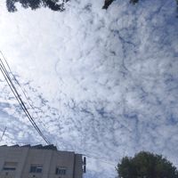 emaljoj7