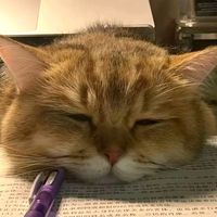 nhạc nền - Mê truyện or anime