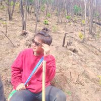 original sound - user2763915406142
