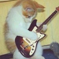 suara asli - violed