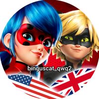 binguscat_qwq2