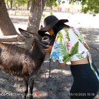 original sound - danubiasalles2